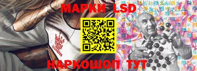 молекула духа Будённовск