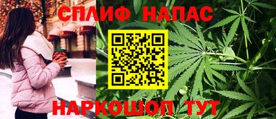молекула духа Будённовск