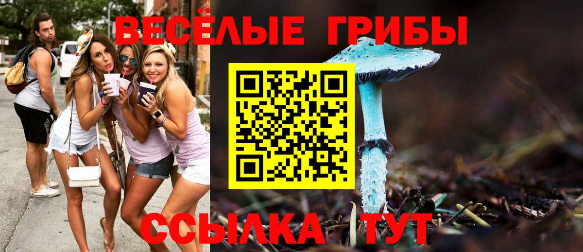 Галлюциногенные грибы Cubensis  Вход с VPN  Скопин 
